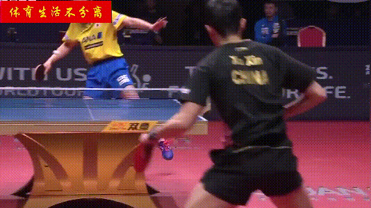 国乒队员近期动态概览