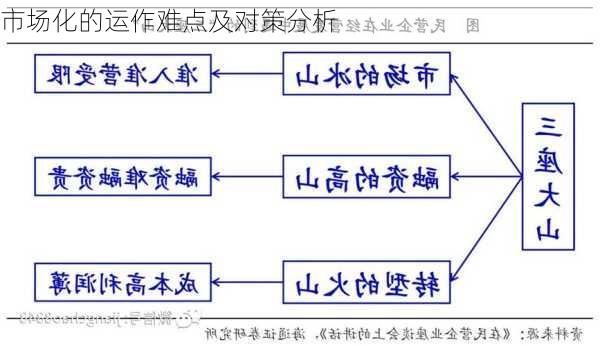 市场化的运作难点及对策分析