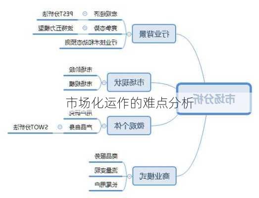 市场化运作的难点分析