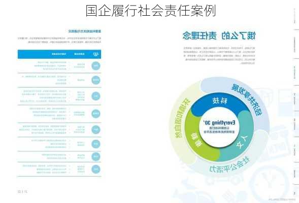 国企履行社会责任案例