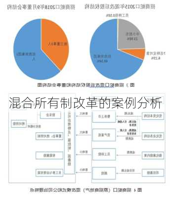 混合所有制改革的案例分析