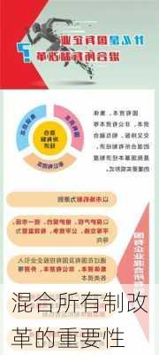 混合所有制改革的重要性