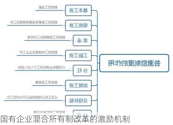 国有企业混合所有制改革的激励机制