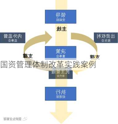 国资管理体制改革实践案例