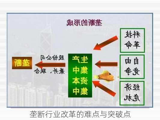 垄断行业改革的难点与突破点