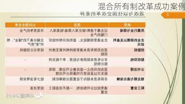 混合所有制改革成功案例