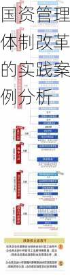 国资管理体制改革的实践案例分析