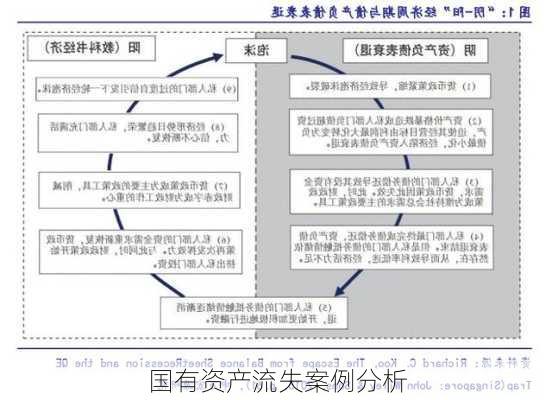 国有资产流失案例分析