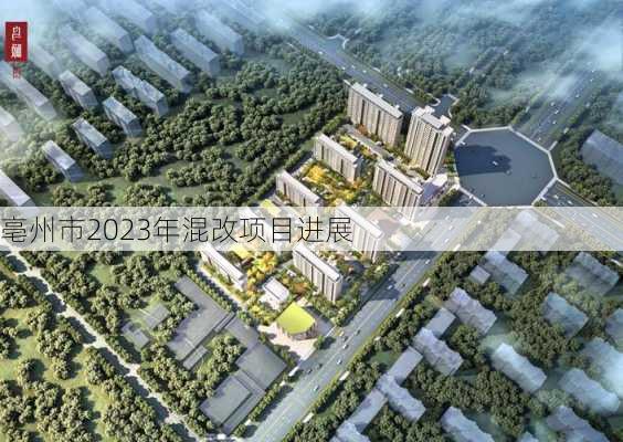 亳州市2023年混改项目进展