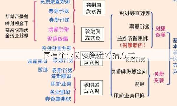 国有企业防疫资金筹措方式