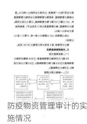 防疫物资管理审计的实施情况