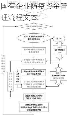 国有企业防疫资金管理流程文本