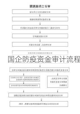 国企防疫资金审计流程