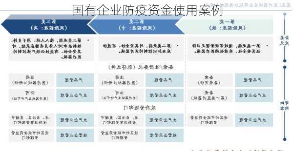 国有企业防疫资金使用案例