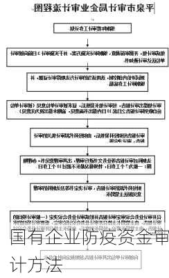 国有企业防疫资金审计方法