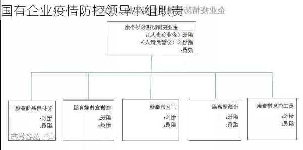 国有企业疫情防控领导小组职责