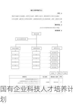 国有企业科技人才培养计划