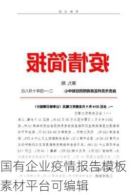 国有企业疫情报告模板素材平台可编辑