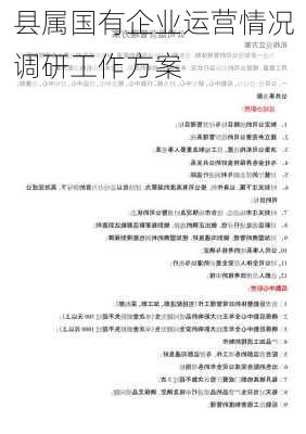 县属国有企业运营情况调研工作方案