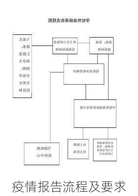 疫情报告流程及要求