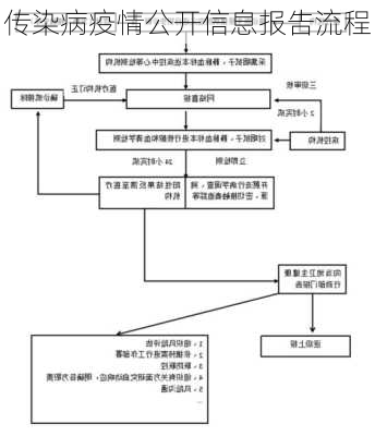 传染病疫情公开信息报告流程