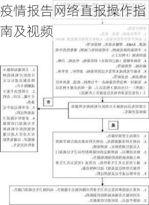 疫情报告网络直报操作指南及视频