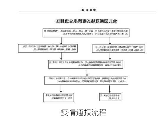 疫情通报流程