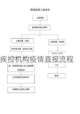 疾控机构疫情直报流程