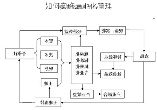 如何实施属地化管理