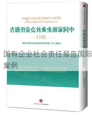 国有企业社会责任报告国际案例