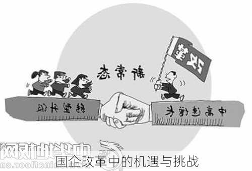 国企改革中的机遇与挑战