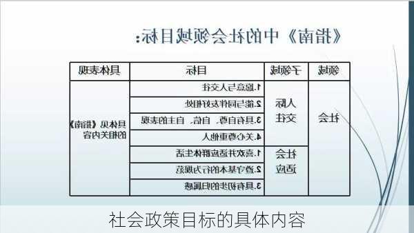 社会政策目标的具体内容