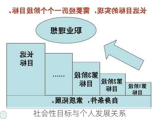 社会性目标与个人发展关系