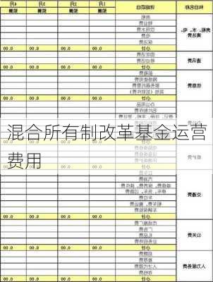 混合所有制改革基金运营费用