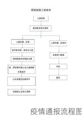 疫情通报流程图