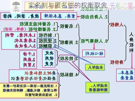 实名制与匿名性的权衡取舍