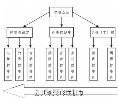 公共观念形成机制