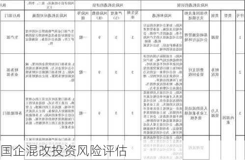 国企混改投资风险评估