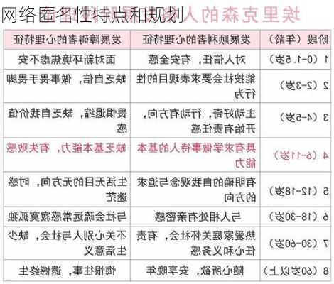 网络匿名性特点和规划