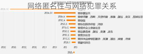 网络匿名性与网络犯罪关系