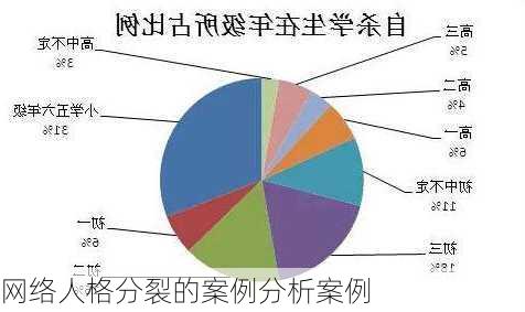 网络人格分裂的案例分析案例