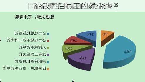 国企改革后员工的就业选择