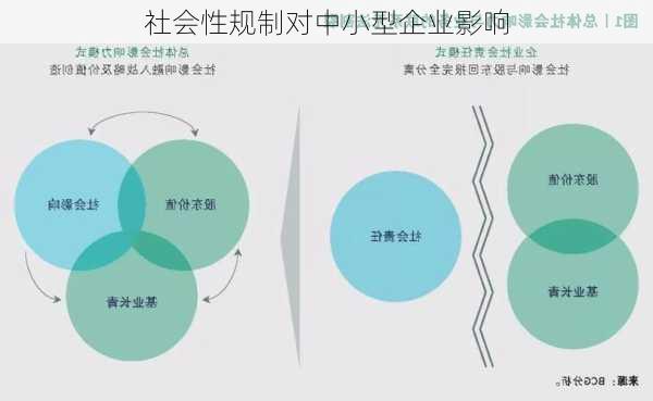 社会性规制对中小型企业影响