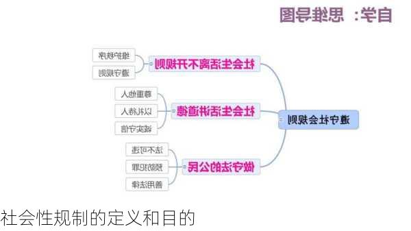 社会性规制的定义和目的