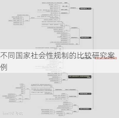 不同国家社会性规制的比较研究案例