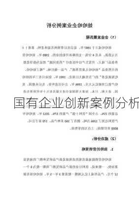 国有企业创新案例分析