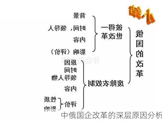 中俄国企改革的深层原因分析