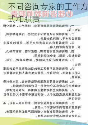 不同咨询专家的工作方式和职责