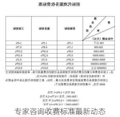 专家咨询收费标准最新动态