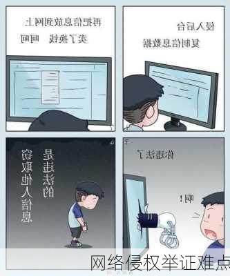 网络侵权举证难点